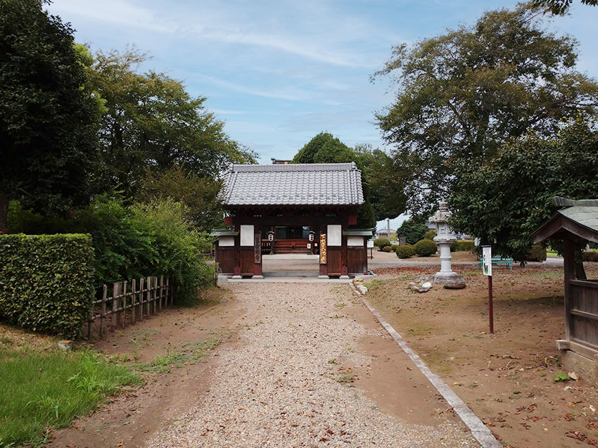 「下野薬師寺」の歴史