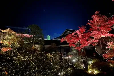 2023逍遥園ライトアップ！夜の紅葉と世界遺産を楽しむ
