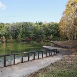 秋に訪れたい！自然と生き物を楽しむ「井頭公園」