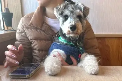 愛犬と一緒に「ドッグランカフェ wanworld | 戸室山カフェ」に行ってきました！